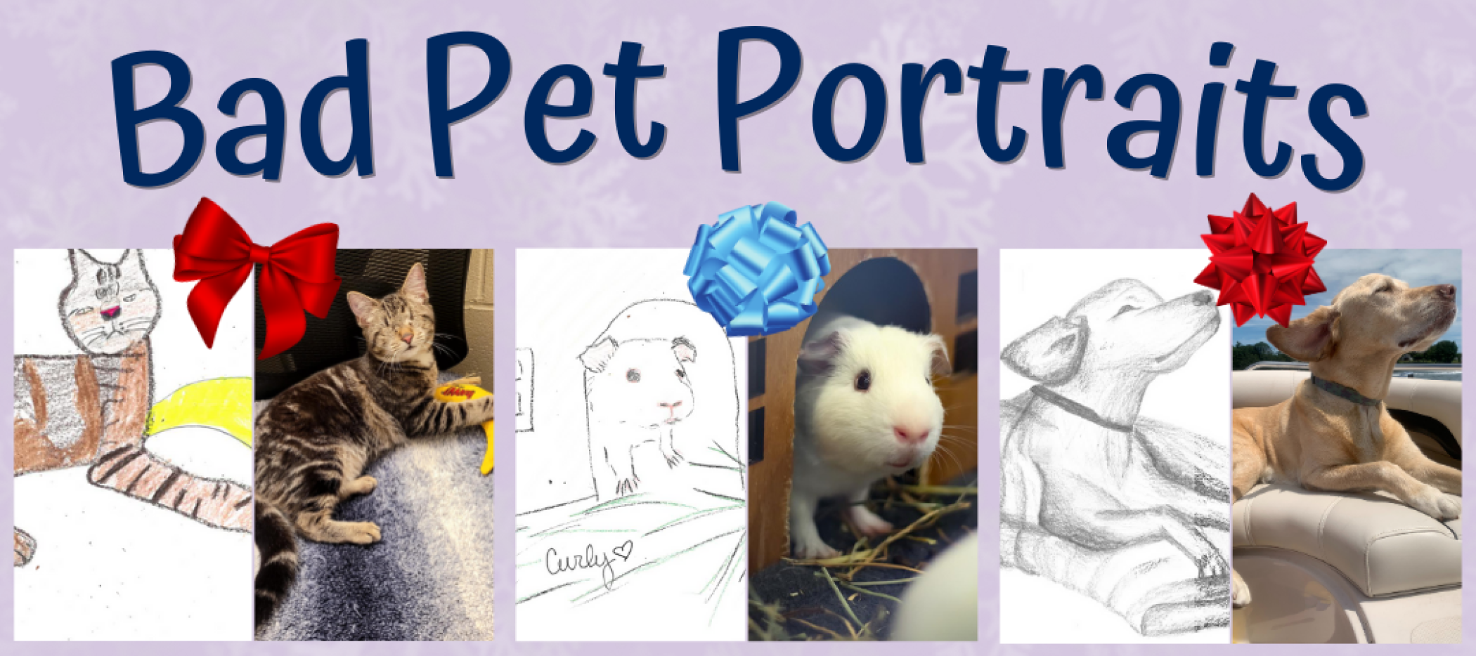 NE_Bad_Pet_Portraits.png