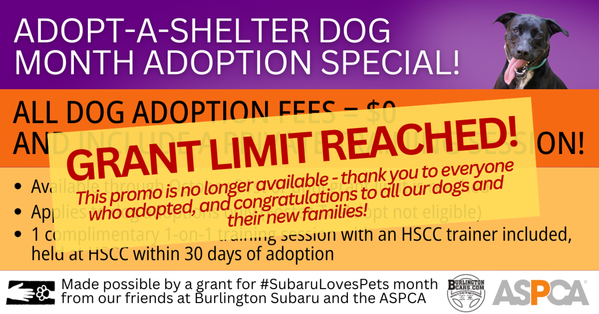 Adopt_a_shelter_dog_month_Update.png