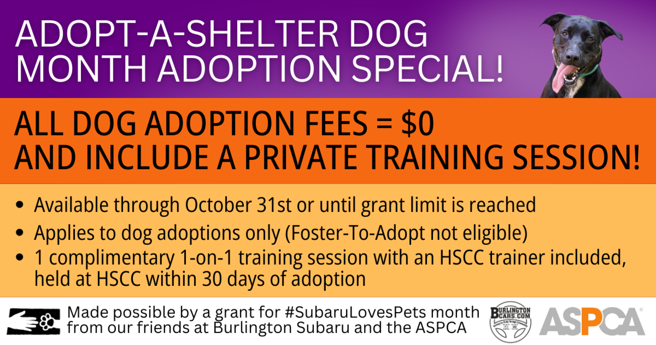 Adopt_a_Shelter_Dog_Oct_24_Promo.png