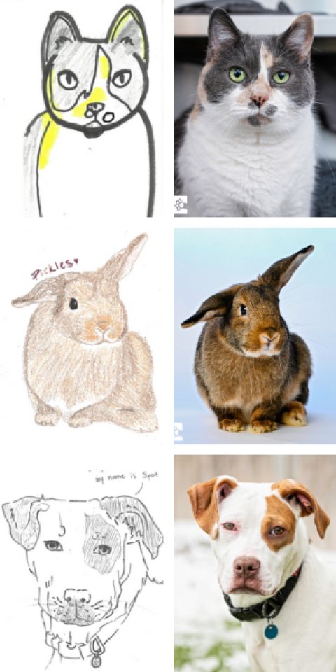 bad_pet_drawings_examples_vertical_smaller_(1).png