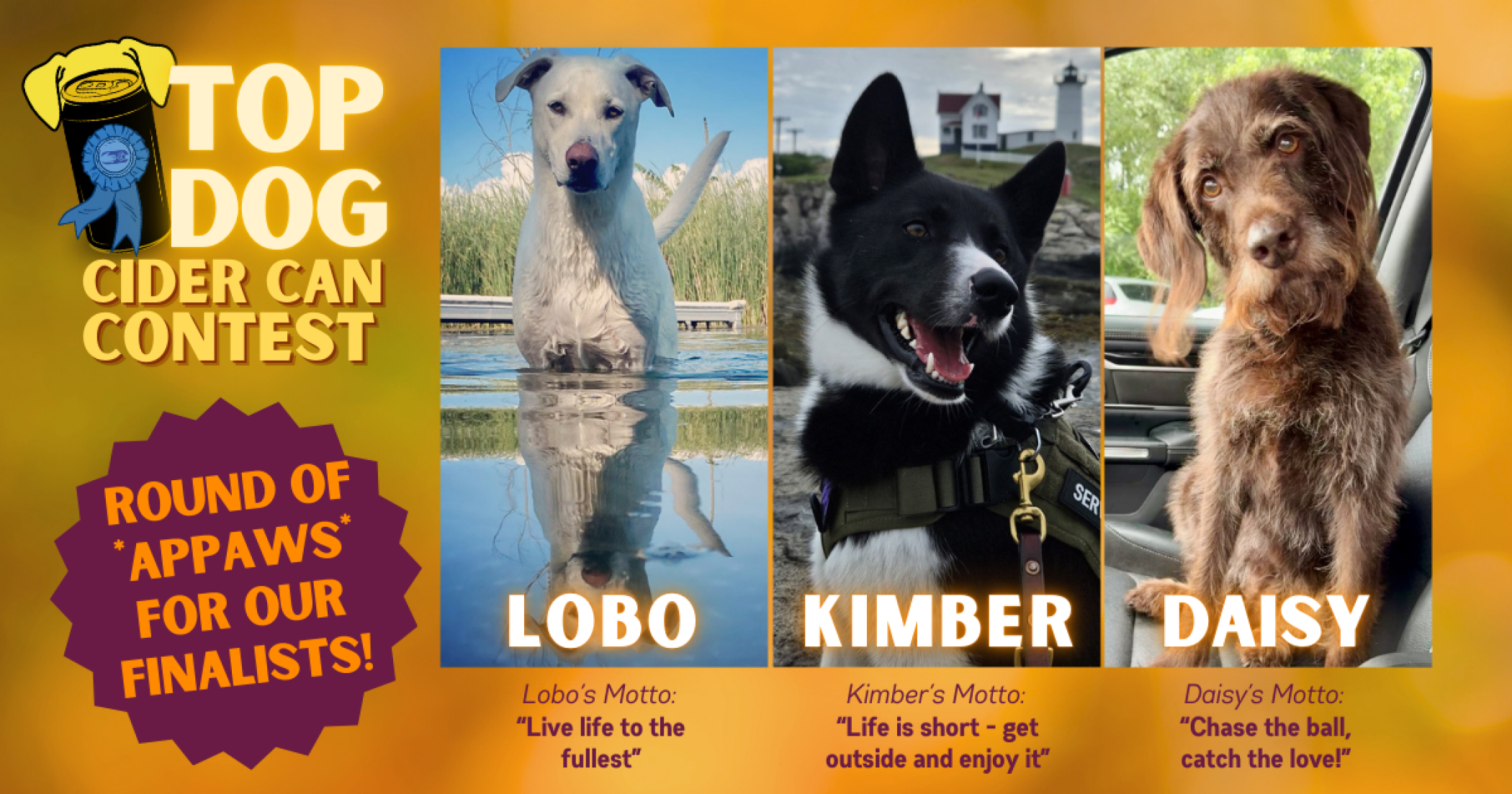 Top_Dog_Cider_News_Events_Finalists.png