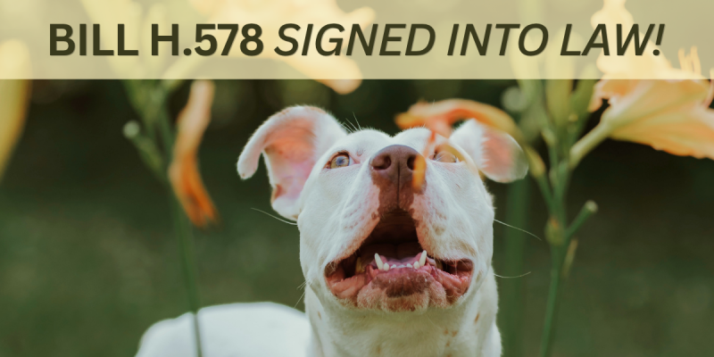 A win for Vermont animals
